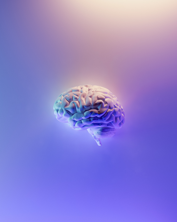 brain_portrait Iridescent brain render on blue purple background