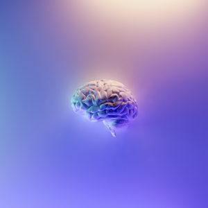 brain_square